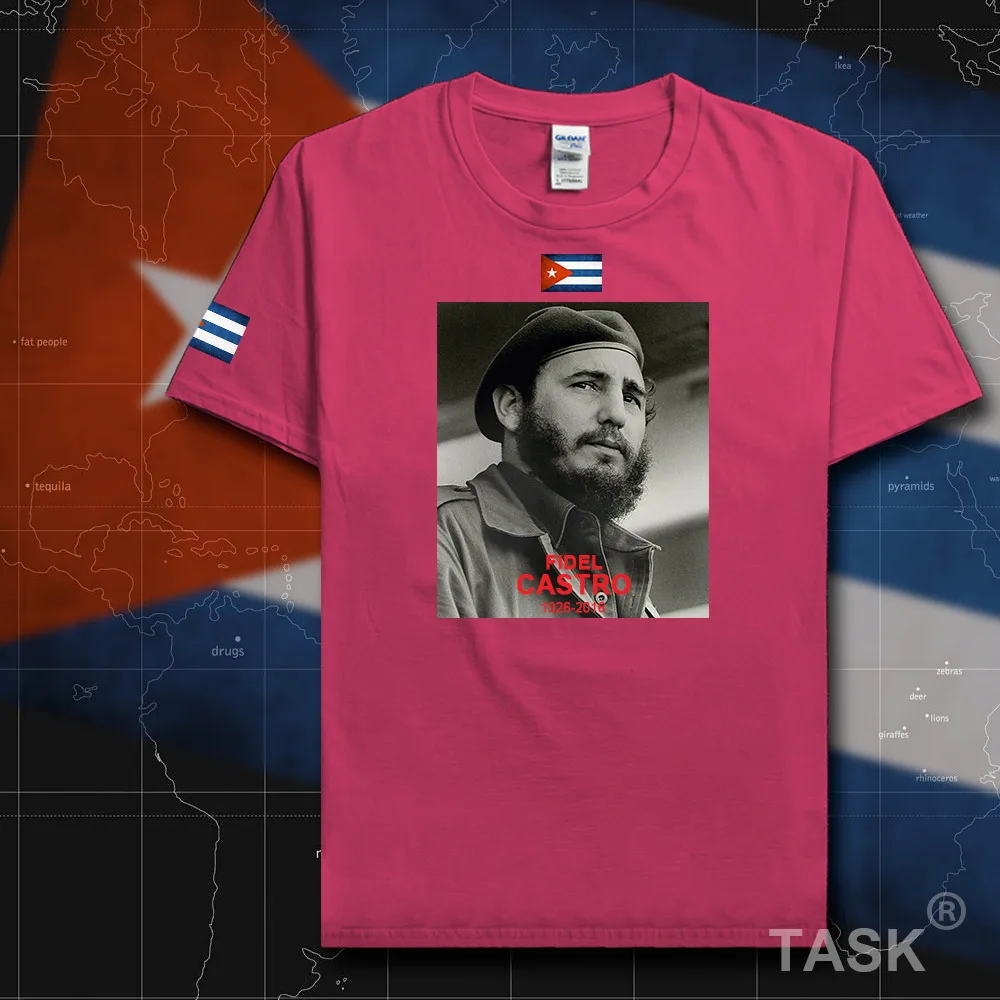 HSPE_Castro01_T01heliconia