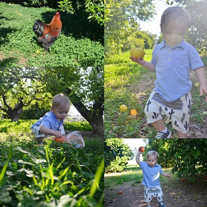 Летние штаны-шаровары для маленьких мальчиков шаровары в полоску с рисунком кактуса для маленьких мальчиков Модная брендовая одежда для маленьких девочек и мальчиков штаны