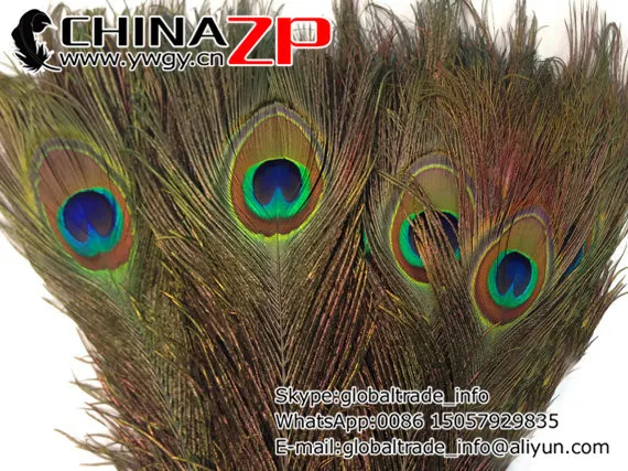 В chinazp завод 100 шт./лот длина 25~ 30 см(10~ 12 дюймов) одежда высшего качества натуральных перьев павлина