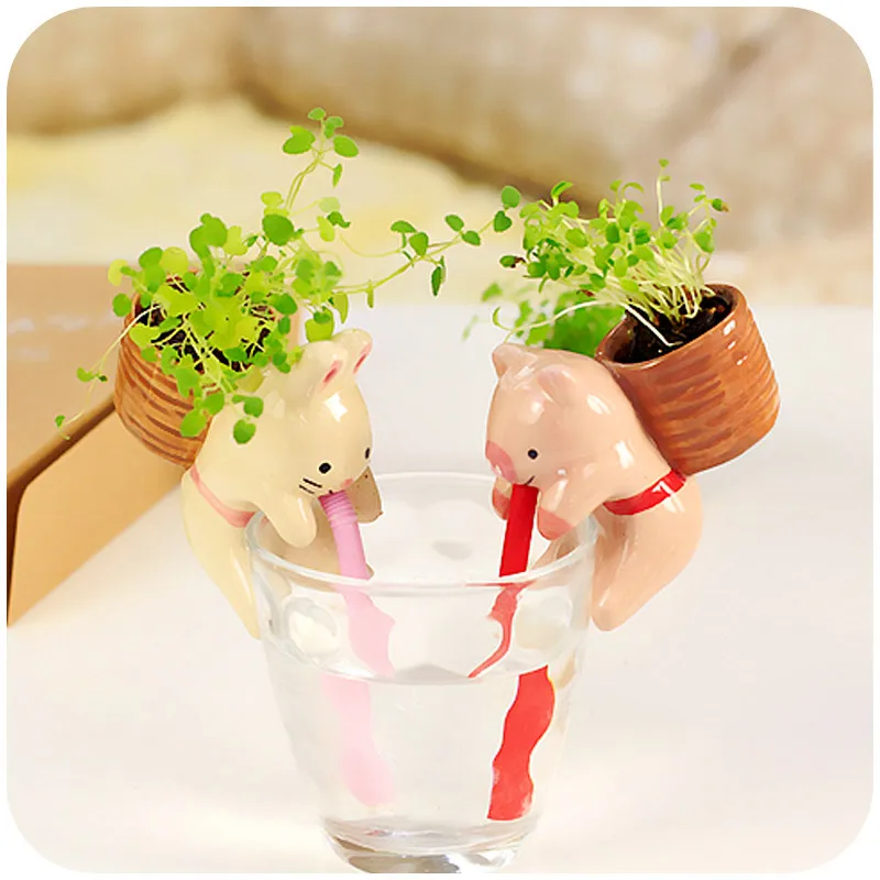 

Lovely thirsty thirsty suck in small animals mini hydroponic pot plants, planting ideas contained K2820 Desktop