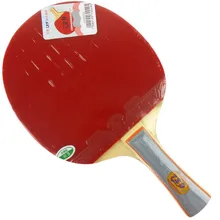 RITC 729 1040# pips-in настольный теннис/пинг понг ракетка+ чехол летучая мышь Shakehand длинная ручка FL