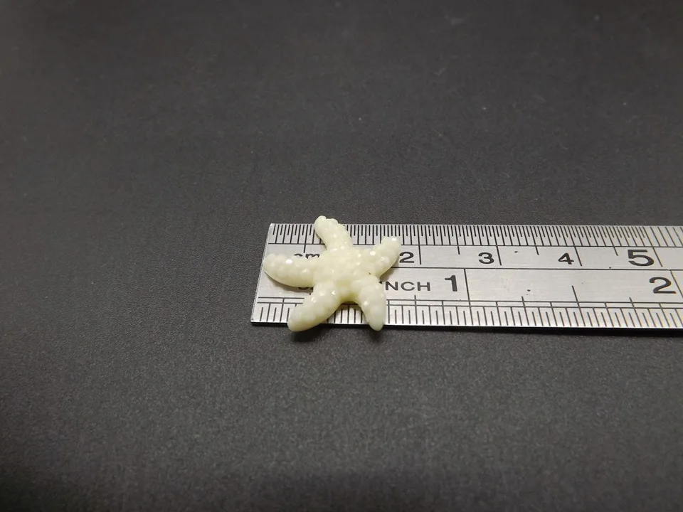 Tiny-A115Starfish (10)
