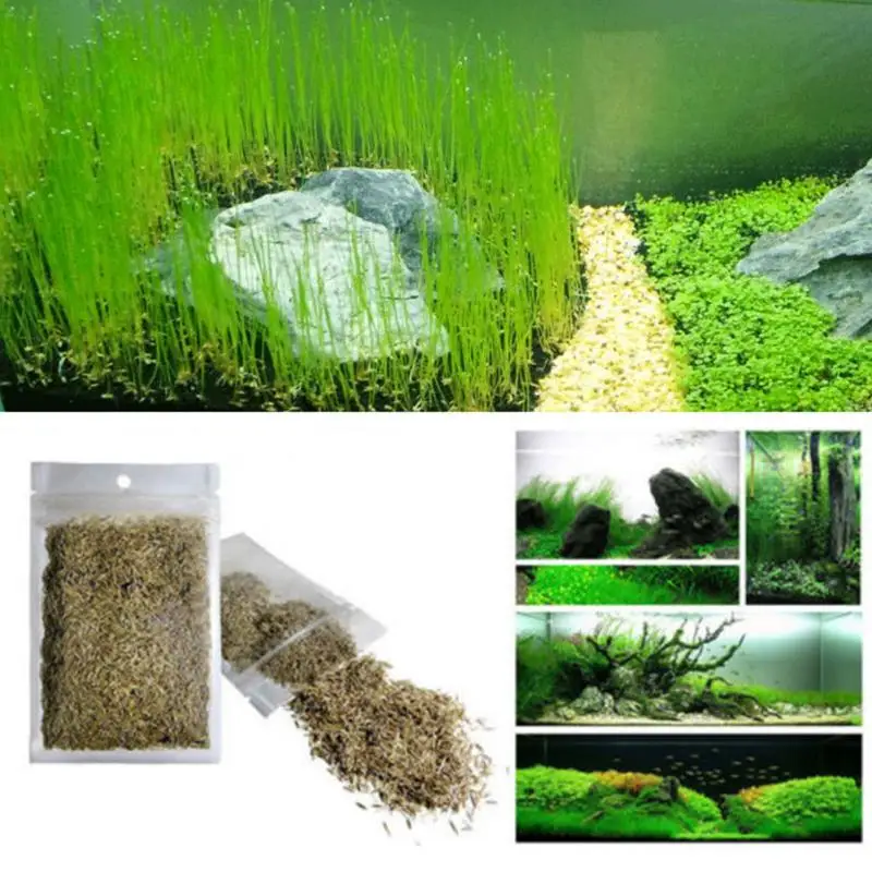 7 видов зеленых растений, аквариумных рыб, аквариумных растений, перспектива, ландшафтное оформление травы,, семена, водный для воды, легкий Pl