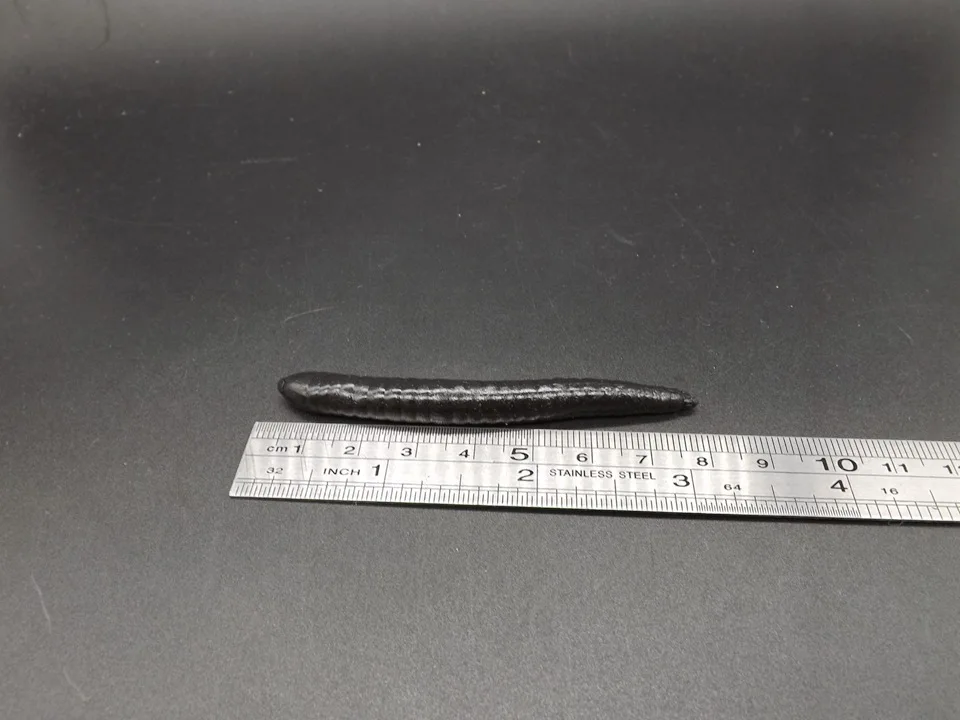J005 (8)