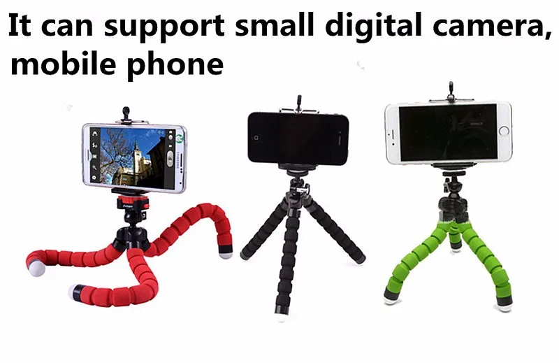 2708692453_1906665130