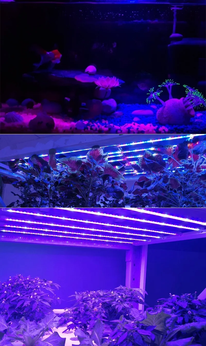 ReBlue Lamp For Plants Grow Light 12W 24W T5 Plant Lamp Full Spectrum Grow Led For Plants Growing Seedling Phyto-Lamp indoor  (10)