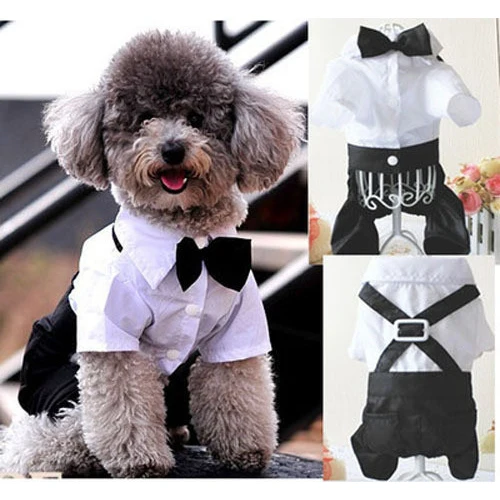 GSFY-красивый официальный комбинезон для собак с бантом галстук жениха смокинг костюмы для домашних животных, собачий костюм XL