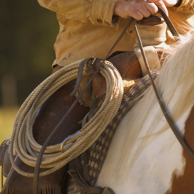 Cowboy And Lasso Poster Print (22 x 34)
