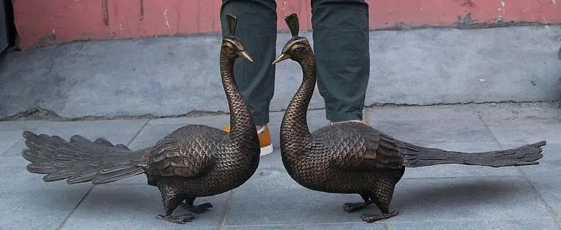 

free 24" Folk China Collect Feng shui Bronze Peacock Peafowl Bird phoenix Statue Pair fast