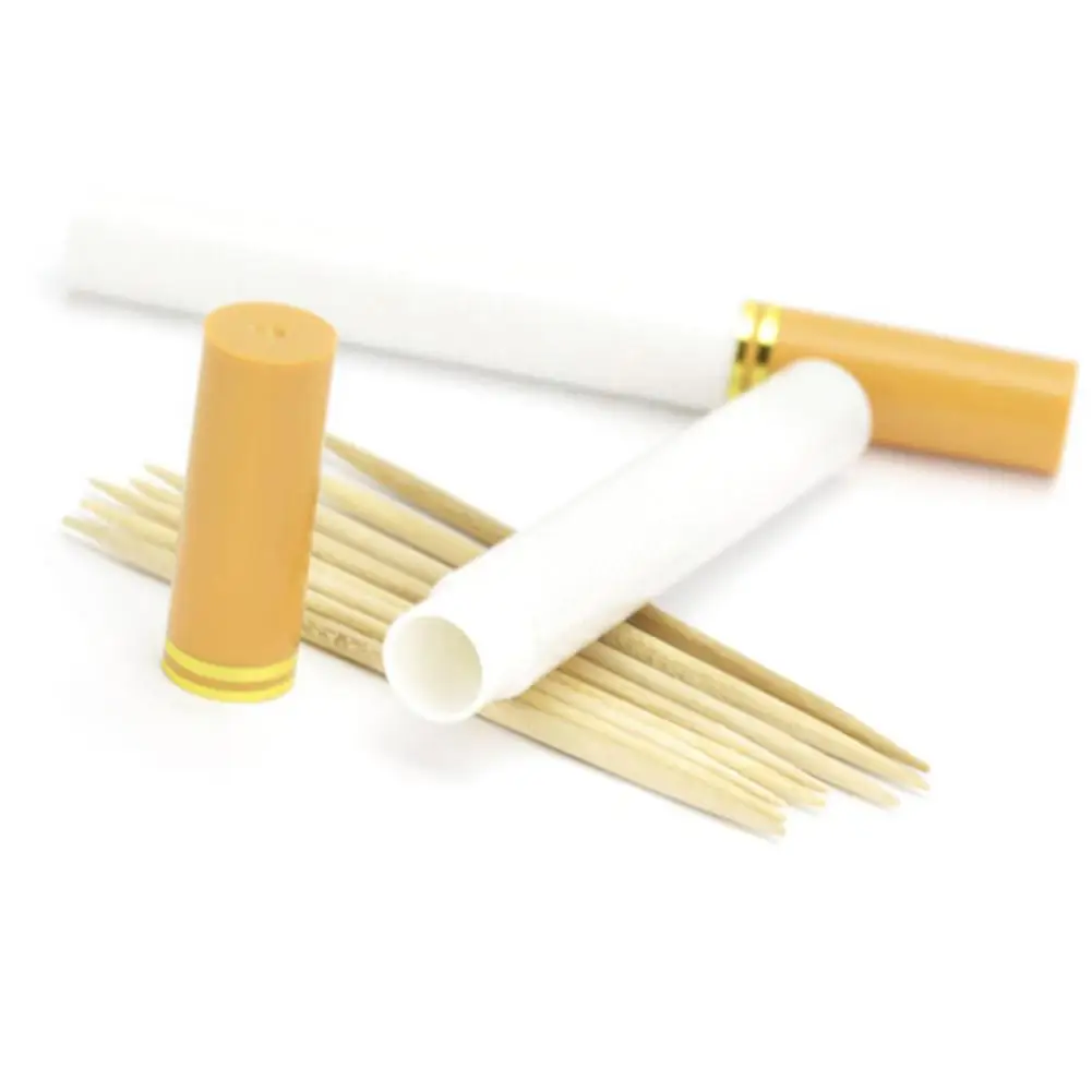

TPFOCUS Mini Portable Cigarette Shape Toothpick Holder Outdoor Picnic Travel Simple Safety High Quality