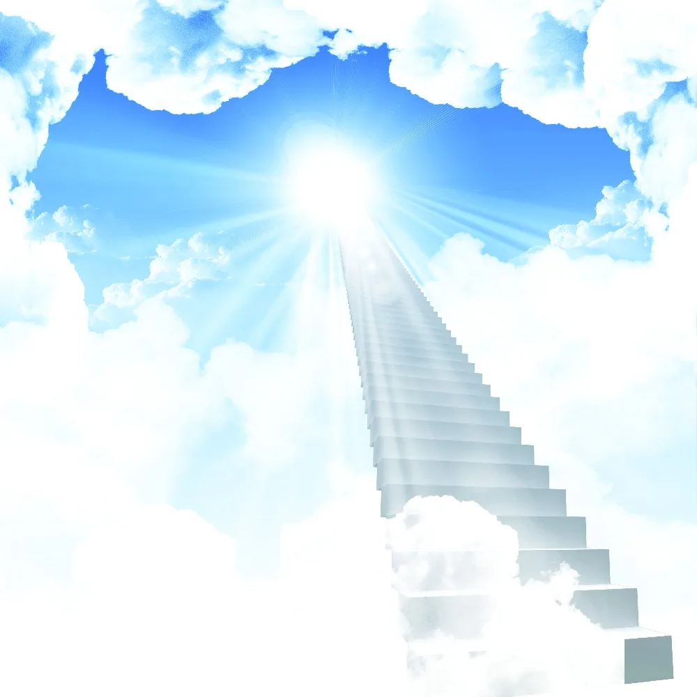 

Free shipping Custom sky and stair backdrops background ,Clouds Sunset Photography Studio Backdrops for wedding ,family