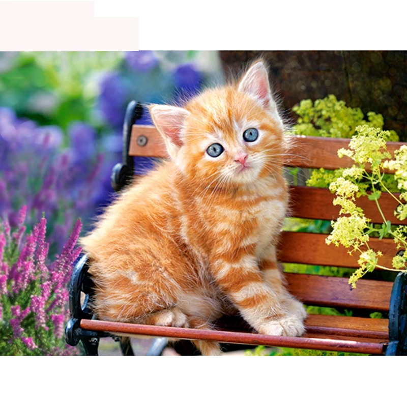 diamond-painting-square-full-diamond-painting-cat-rhinestones-embroidery