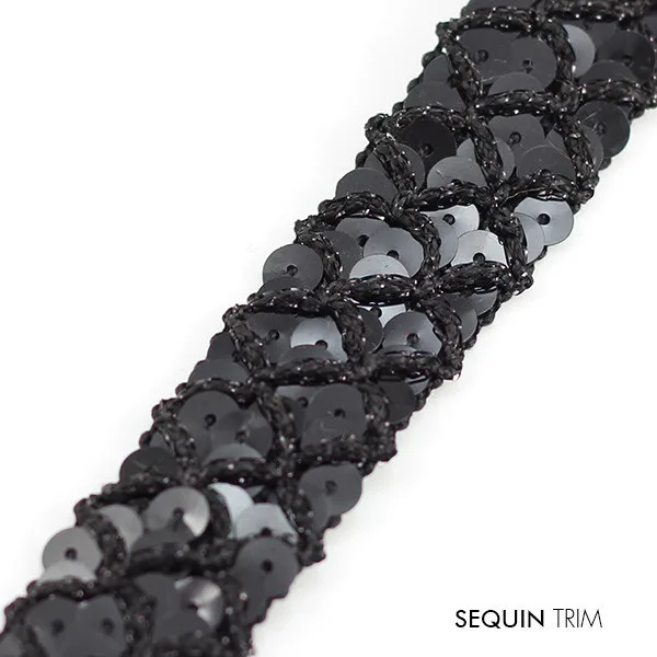 sequin trim  814 (2)