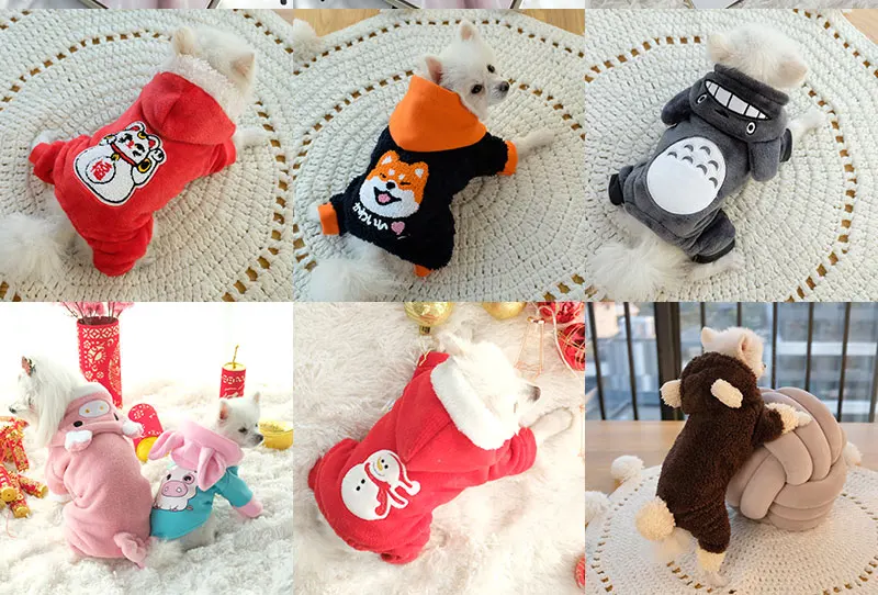 dog jackets outdoor