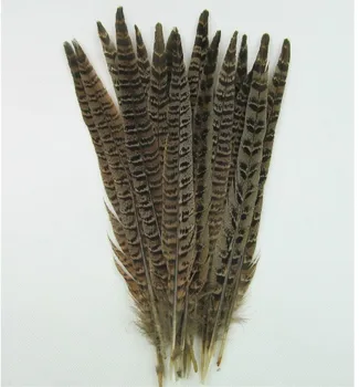

50pcs/lot DIY Natural Pheasant tail Feather 25-30CM pheasant plumage Christmas decoration clothing accessories Wholesale KX02