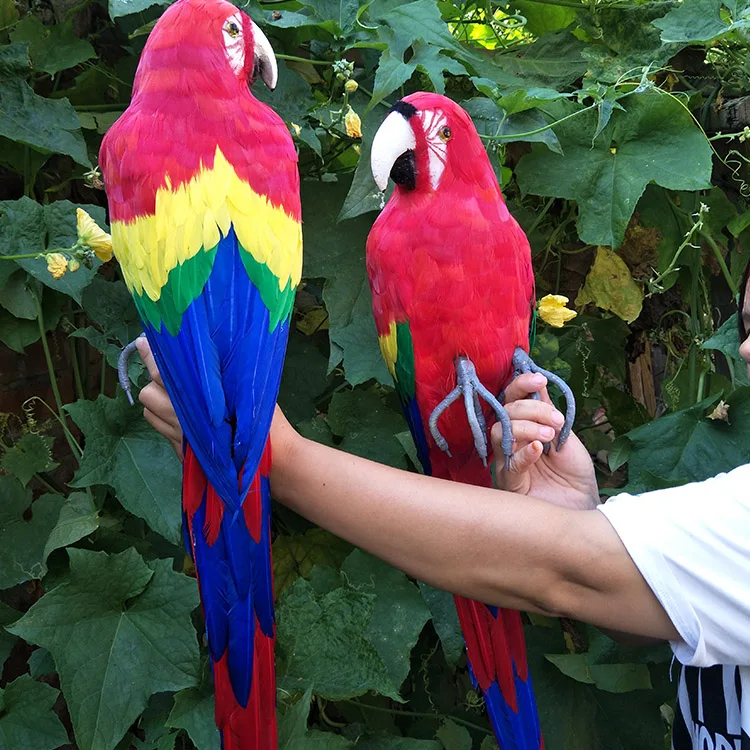 TB2azCEXmqEJuJjy0FpXXcecVXa_!!3190515190