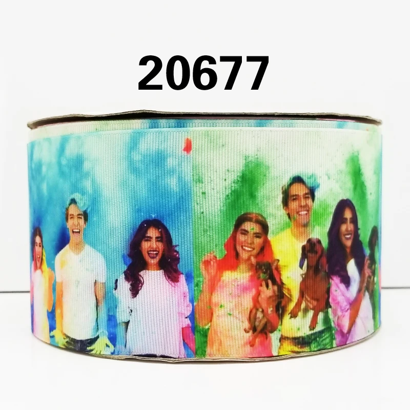 20677