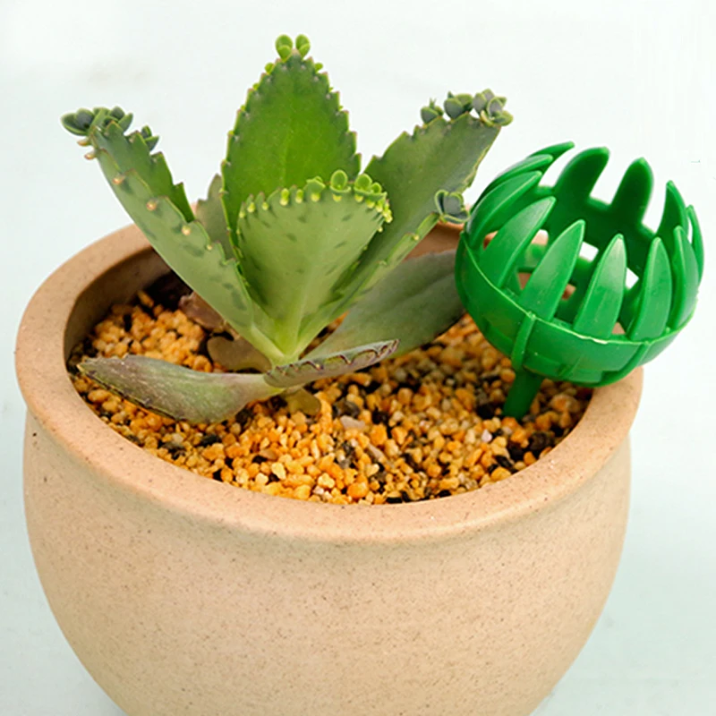 

20 Pcs Plastic Fertilizer Baskets Bonsai Tool Fertilizer Dome Box for Planting Garden Bonsai Tool Fertilizer Cover