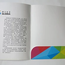 A4 прибыли компании презентация папки печать с один pockect(бесплатный дизайн, нужен ваш логотип и детали