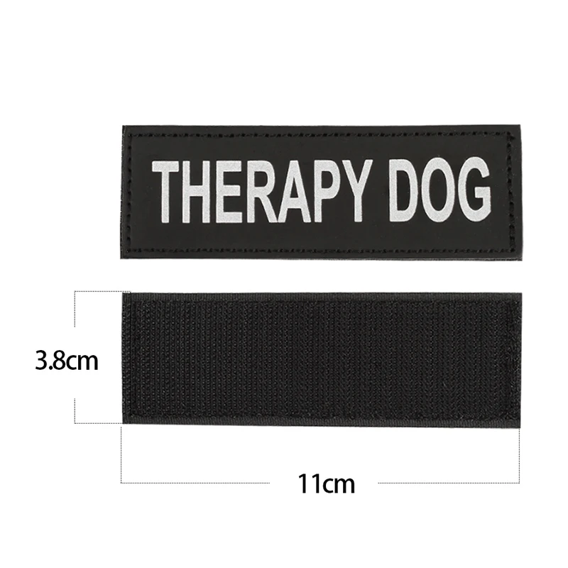 therapy-dog