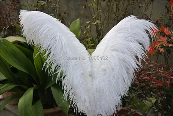 

EMS Free Shipping 100 pcs 18-20inch(45-50cm) WhiteOstrich Feathers for Wedding centerpiece Home decor