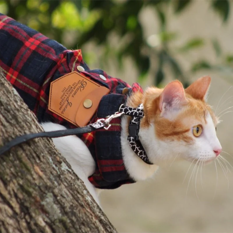 Winter Cat Clothes Plaid Cat Coat Jacket Pet Clothes for Cats Warm Winter Pet Cat Clothing XS to XL Blue Green Red 10d25Q Winter Cat Clothes Plaid Cat Coat Jacket Pet Clothes for Cats Warm Winter Pet Cat Clothing XS to XL Blue Green Red 10d25Q