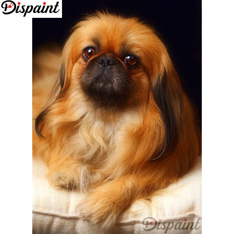 

Необычная полная квадратная/круглая дрель 5D DIY Алмазная картина "Животные Собаки пейзаж" 3D вышивка крестиком домашний Декор подарок A11129