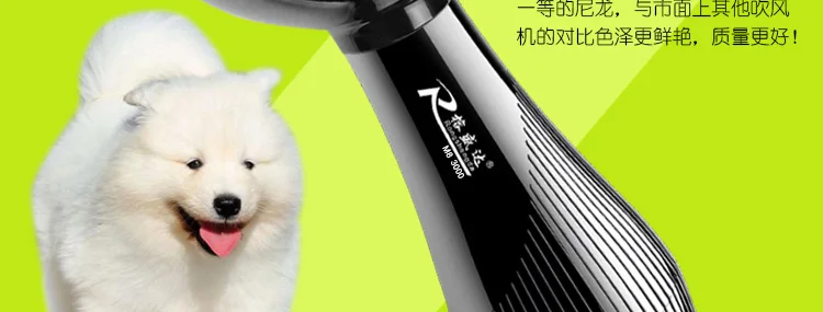 Мульти электрический фен для домашних животных Pet Store Professional Water Machine товары для собак фен для волос фен высокой мощности Mute Teddy кошки сушилка