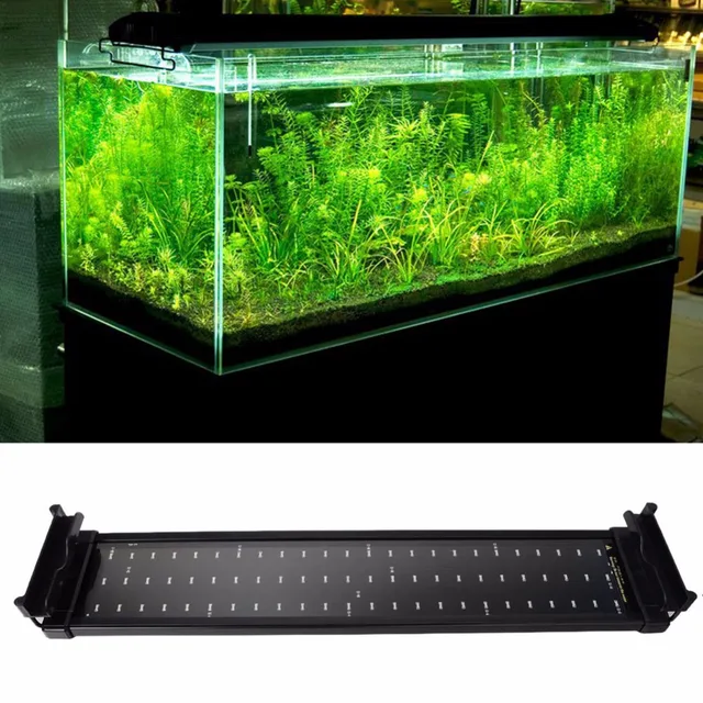 aquarium fish tank led