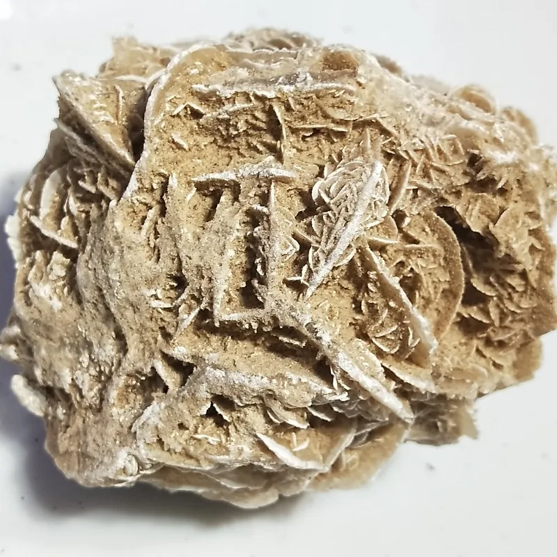 conew_img20190324152404