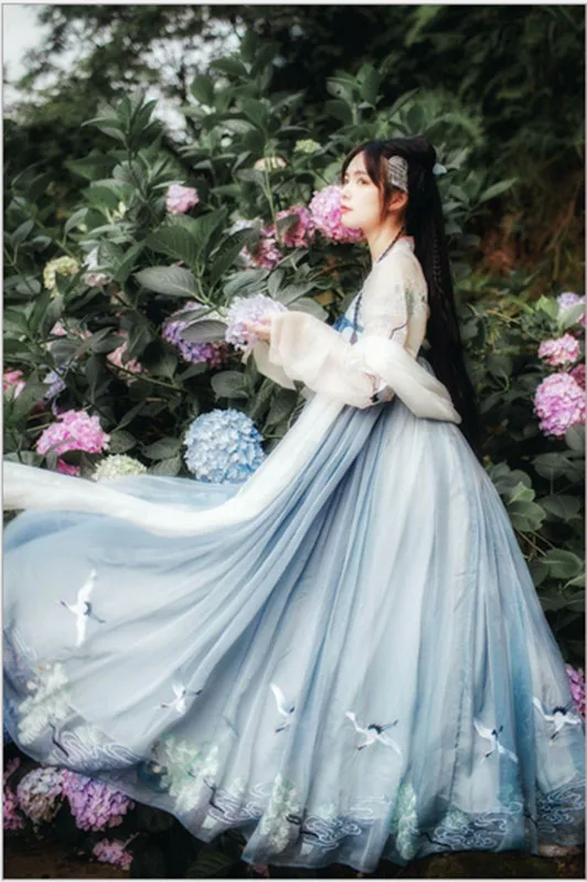 

New Hanfu Chinese Dance Costume Traditional Performance Clothing Women Ancient Crane Dress Han Dynasty Cosplay Wear For Lady