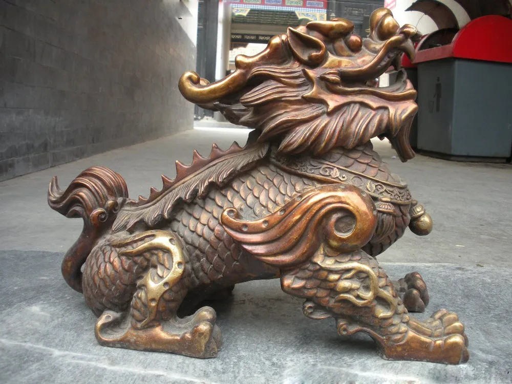 chinese dragon dog chinese dragon dog