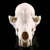 Resin Craft Animal Skull Sculpture 1