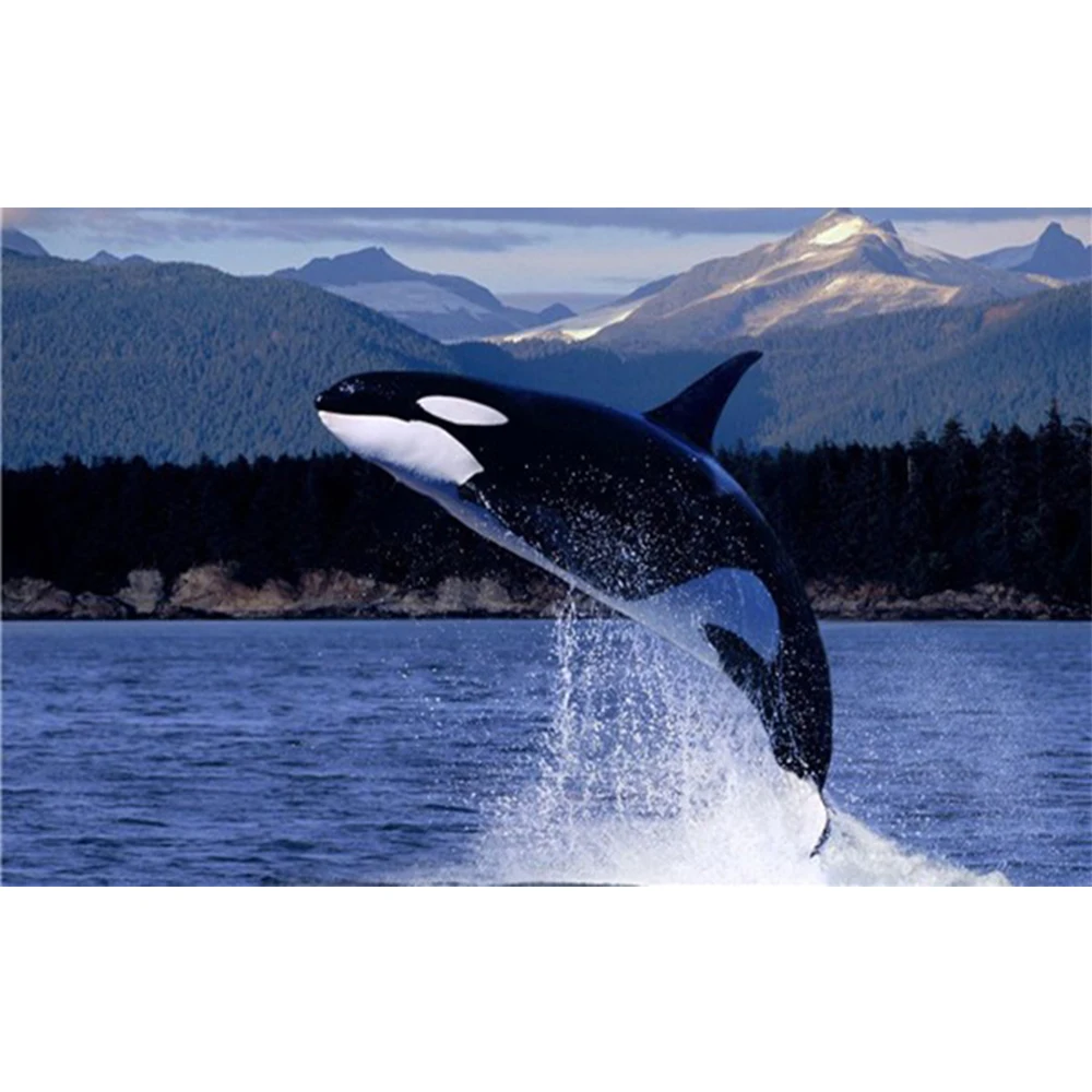 

LI LOYE 5D Diamond Embroidery dolphin DIY Diamond Painting Cross Stitch Full Round crystal Needlework Mosaic Decoration RT488