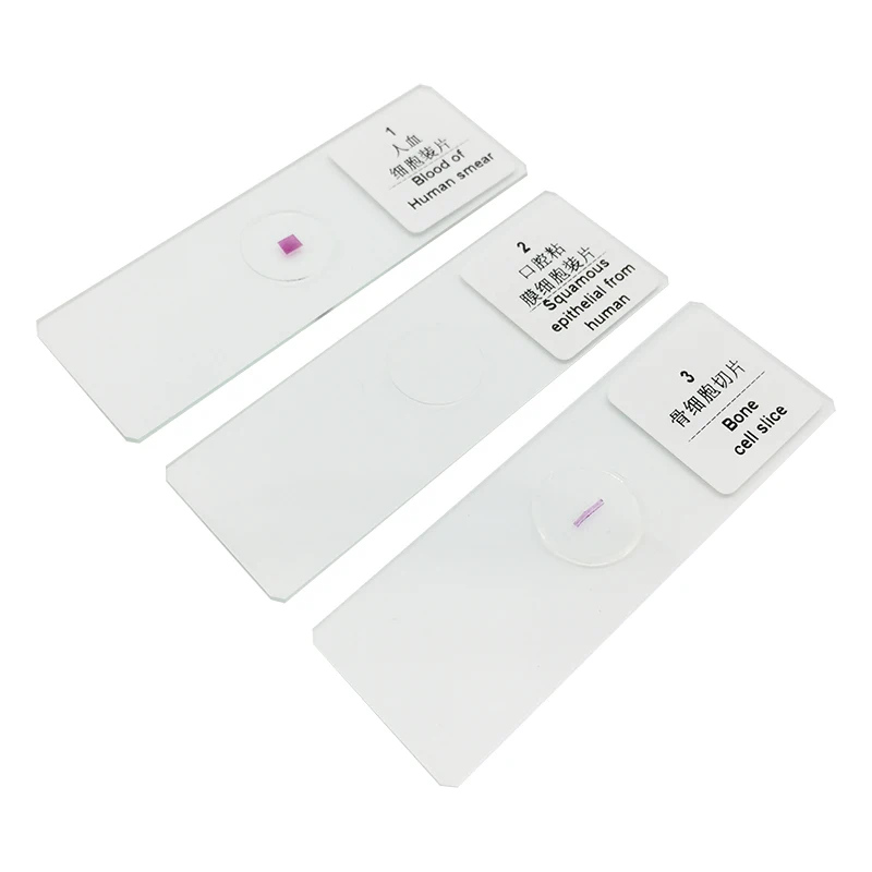 MS-10-05