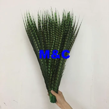 

20pcs/lot Apple Green Dyed pheasant side tails Feathers Natural ringneck Lady Amherst pheasant tails pheasant feather 70-80cm