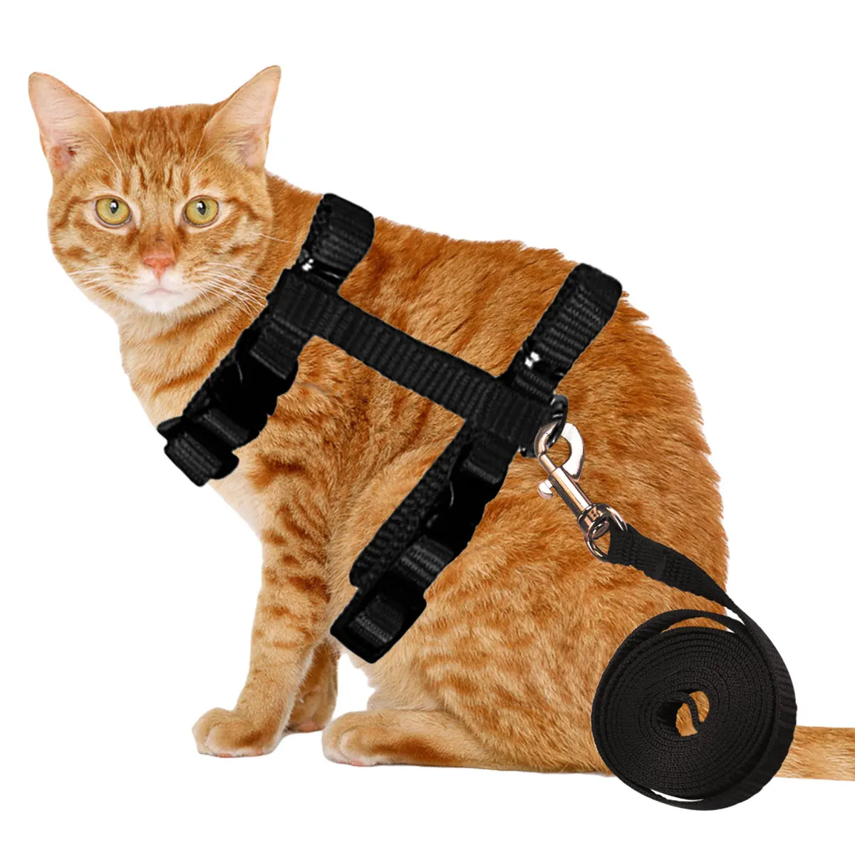 

Cat Nylon Collar Harness And Leash Adjustable Pet Traction Cat Kitten Halter Collar Cats Dog Products For Pet Harness Belt
