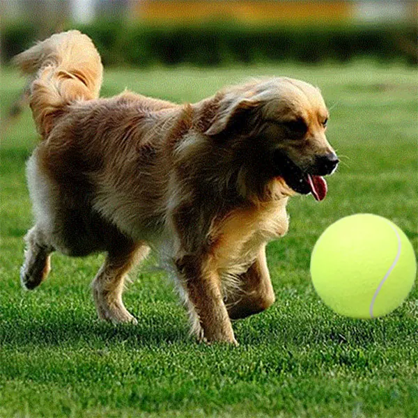 24CM Giant Tennis Ball For Pet Chew Toy Big Inflatable Tennis Ball