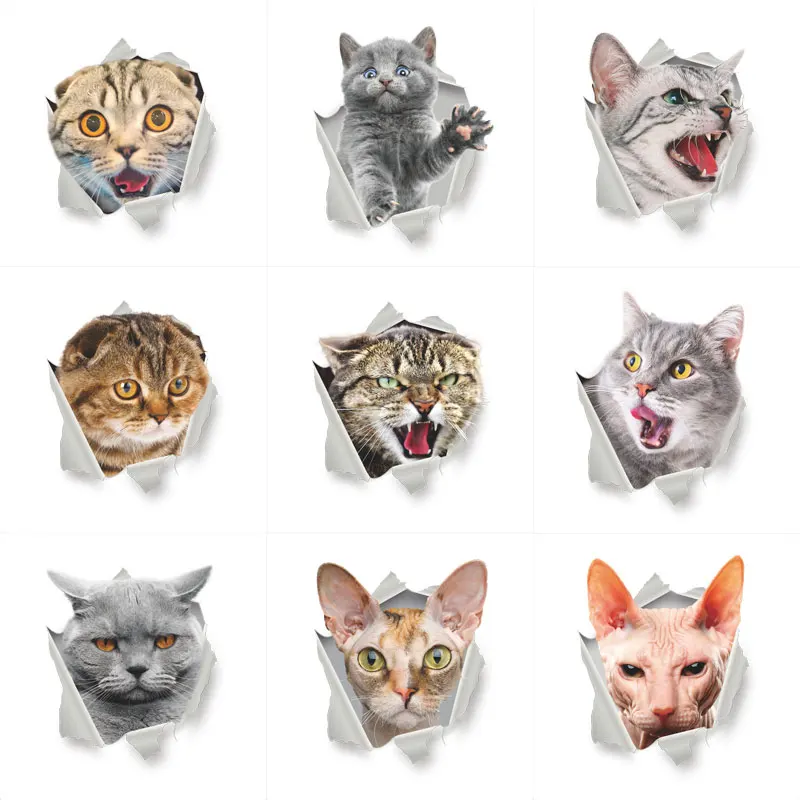 Lovely Cat Broken Hole Stickers for Toilet Decorations Diy Vivid Animal Mural Art Decals Home Decor 3d Wall Posters | Дом и сад
