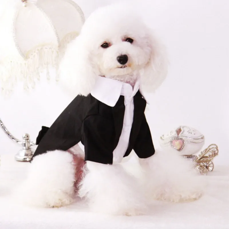 

2019 Pet Small Dogs Coat Clothes for Wedding English Style Dogs Gentlemen Shirt with Bow Knot