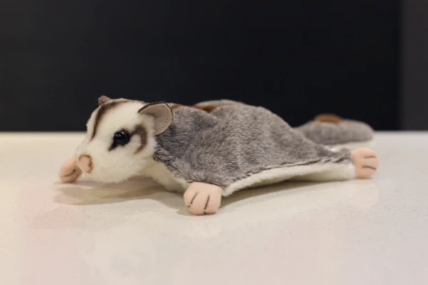 sugar glider stuffed animal