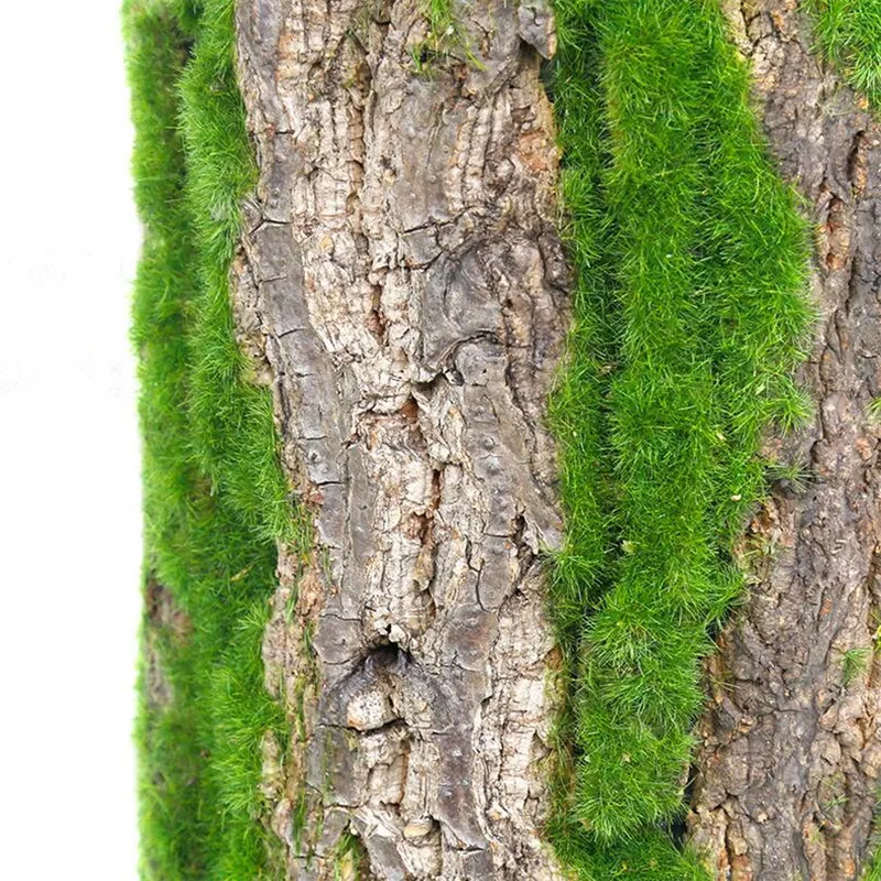 Искусственная сушеная сосна Flone Искусственный мох искусственная винограда лоза