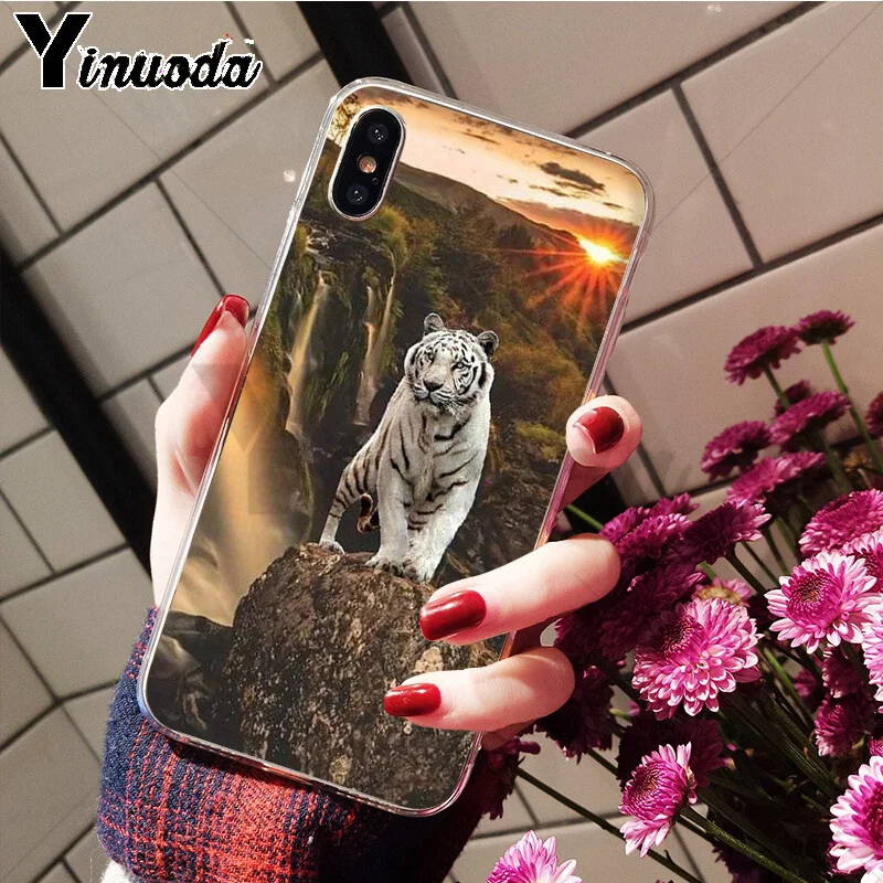 Anime tiger
