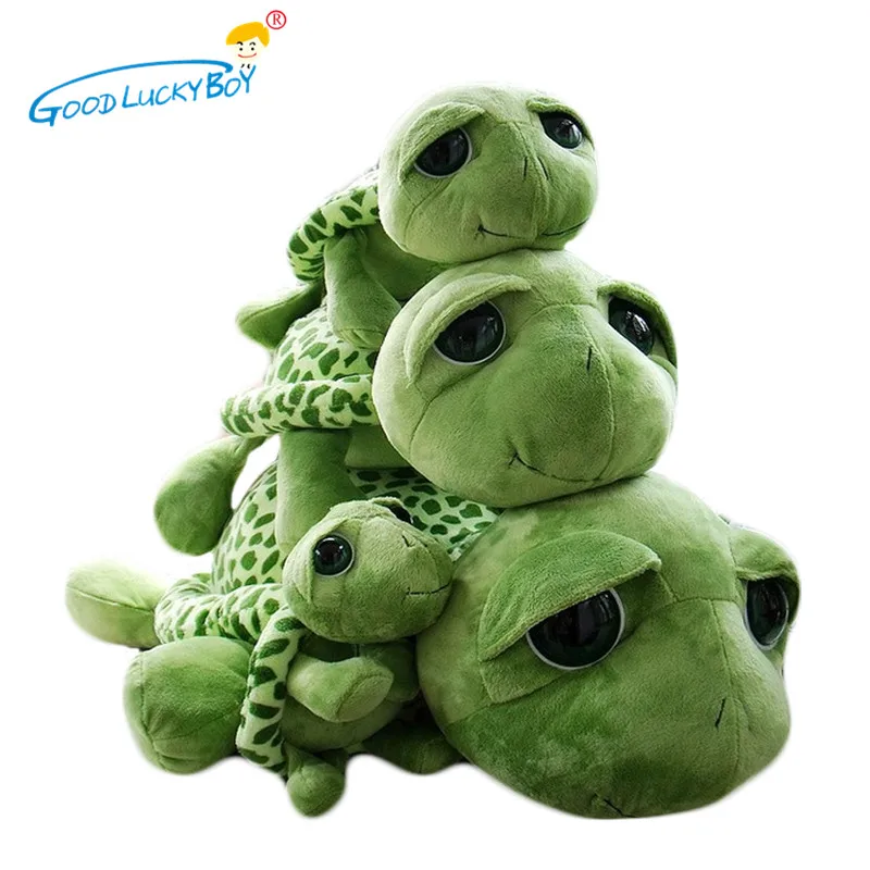 tortoise teddy