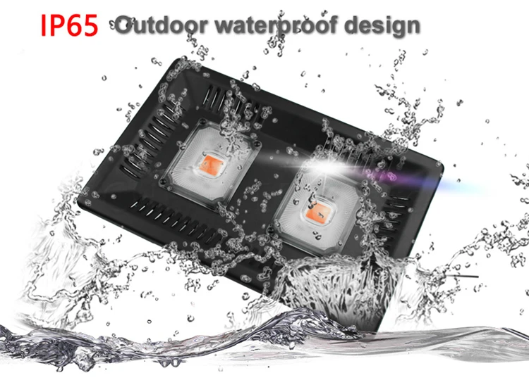 HTB1v7a1cuuSBuNjSsplq6ze8pXaK