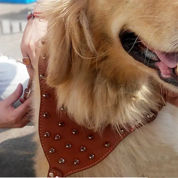 dog harness