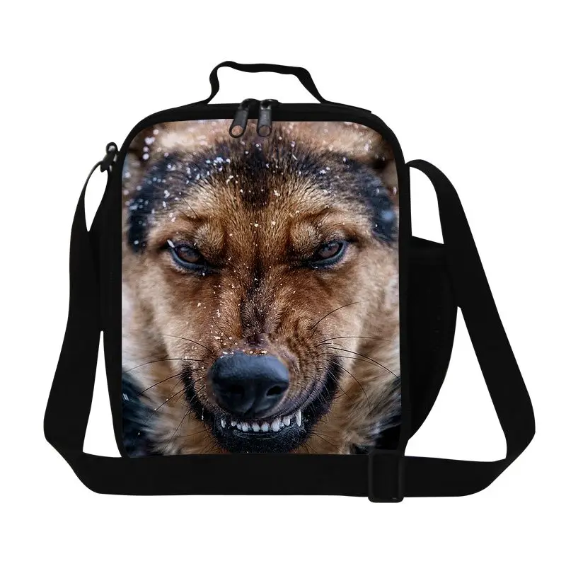 Dispalang thermal portable insulated lunch bags with zipper closure