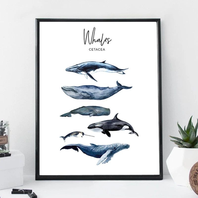 

Watercolor Whales Canvas Art Print Painting Poster Wall Decor , Marine Art Cetacea Poster Wall Pictures For Home Decoration