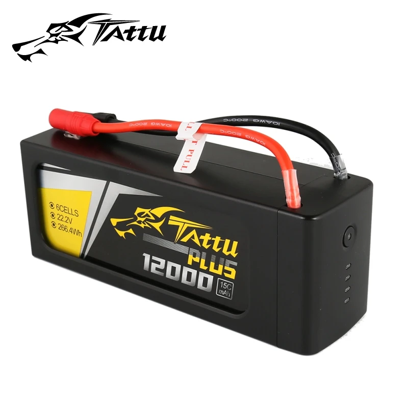 lipo battery (4)