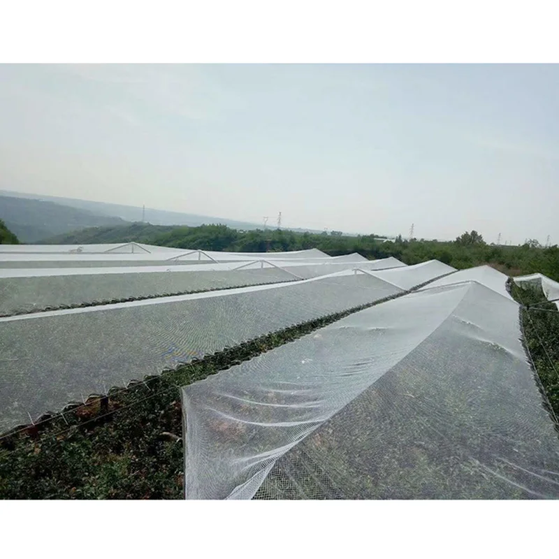

Nylon Bird Preventing White Netting Anti Bird Net Crop Fruit Pond Protection Mesh Greenhouse Garden Vegetable Pest Control 4*10M